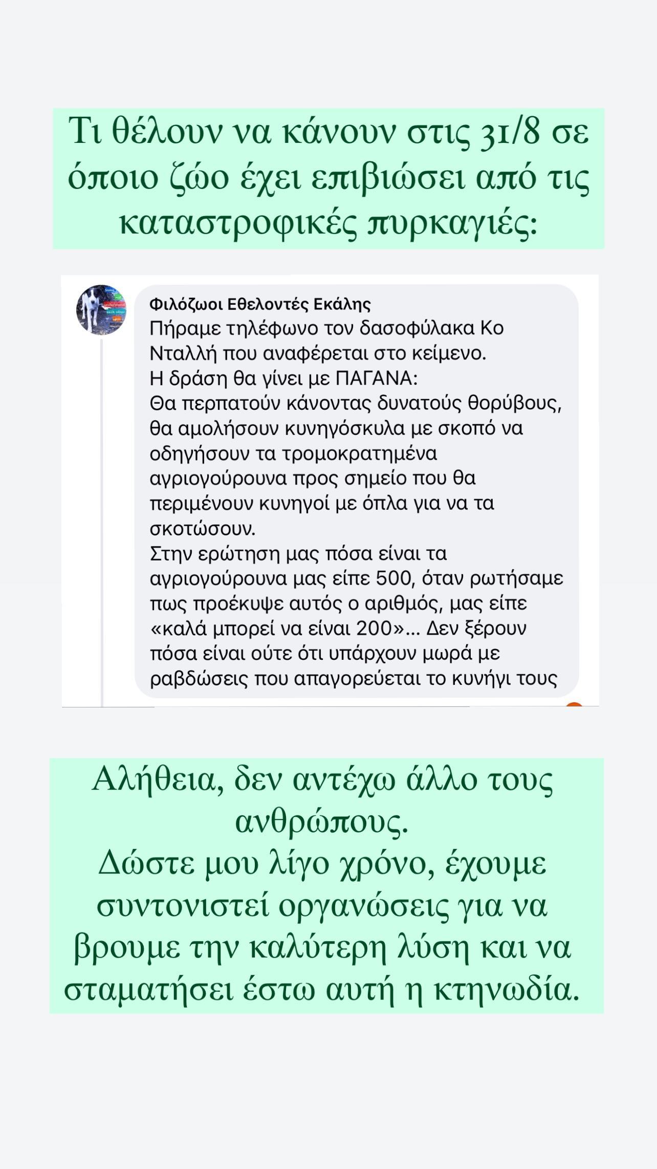 Έλλη Κοκκίνου