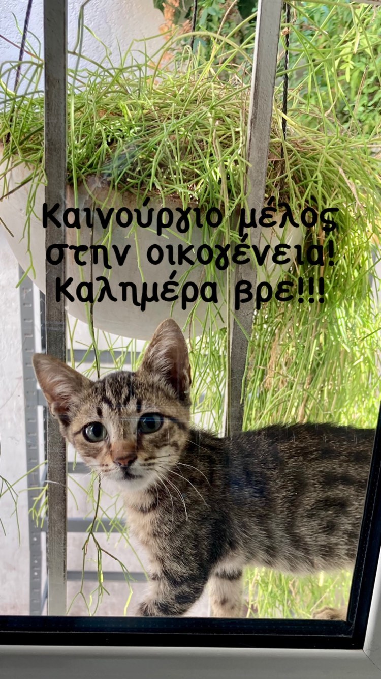 Καίτη Γαρμπή