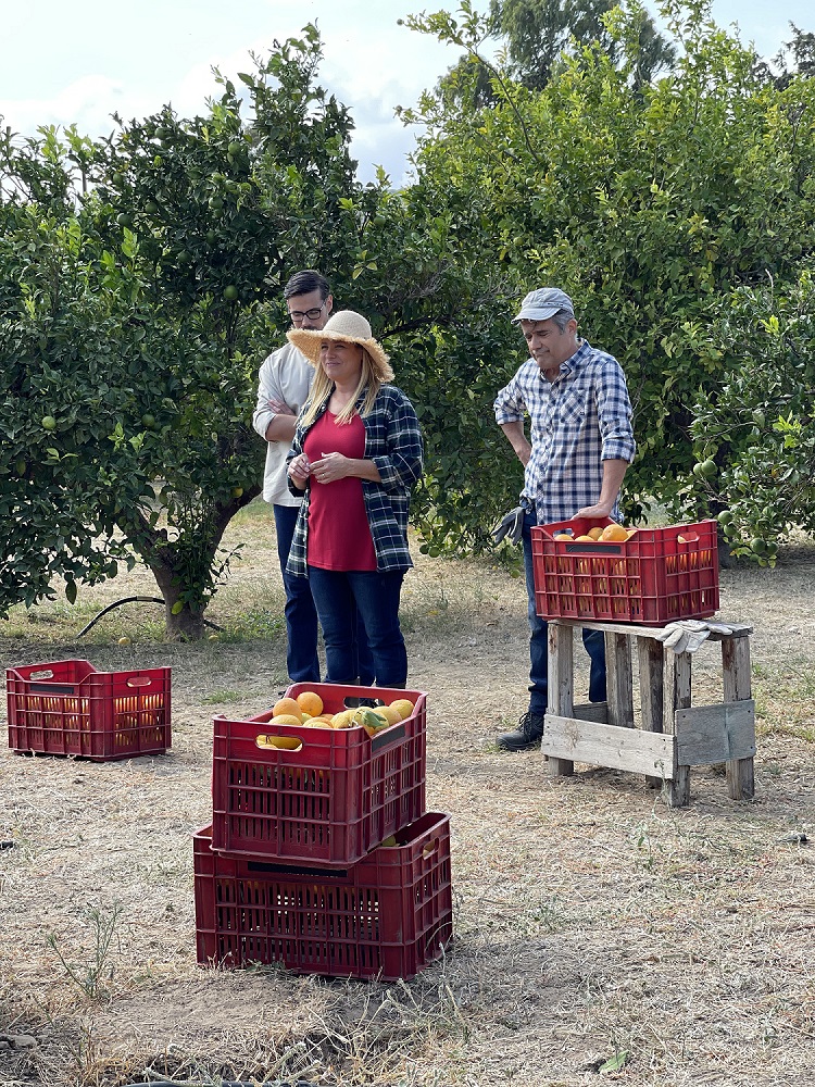 Μόλις Χθες