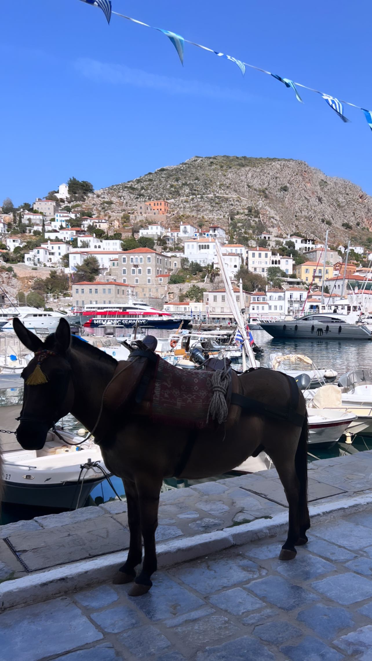 Σταματίνα Τσιμτσιλή