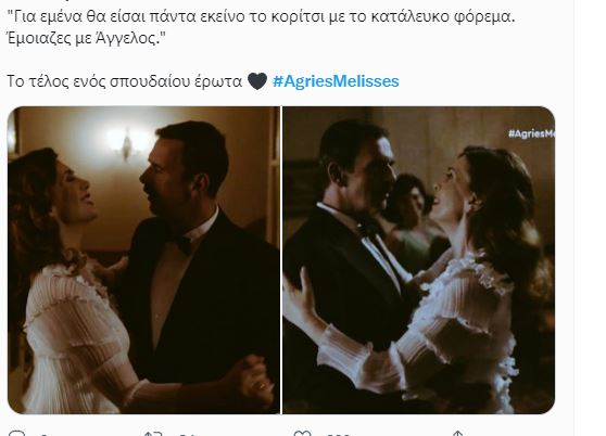 Άγριες Μέλισσες