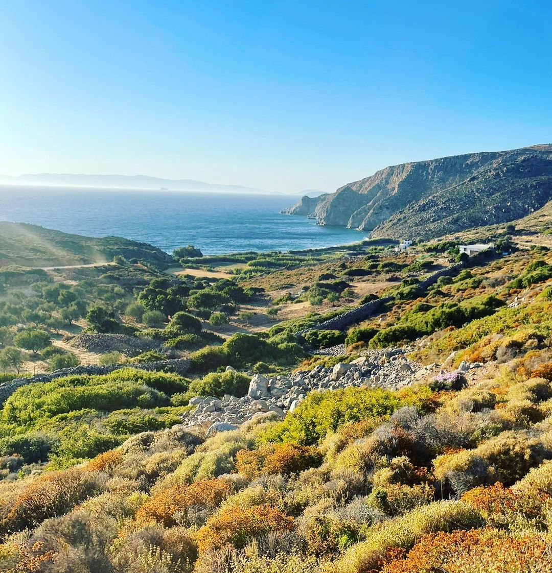 Τζένη Μπαλατσινού