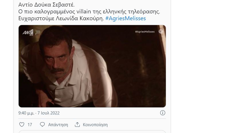 Άγριες Μέλισσες