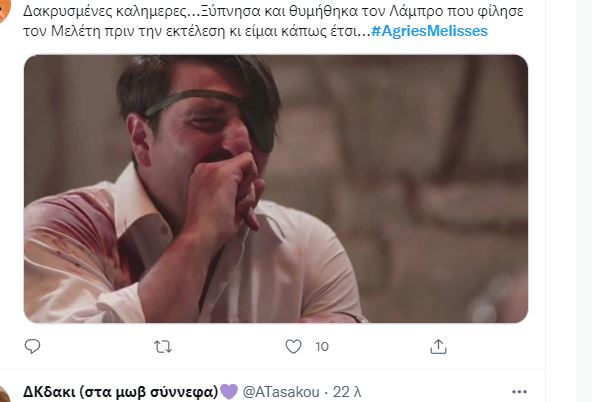 Άγριες Μέλισσες