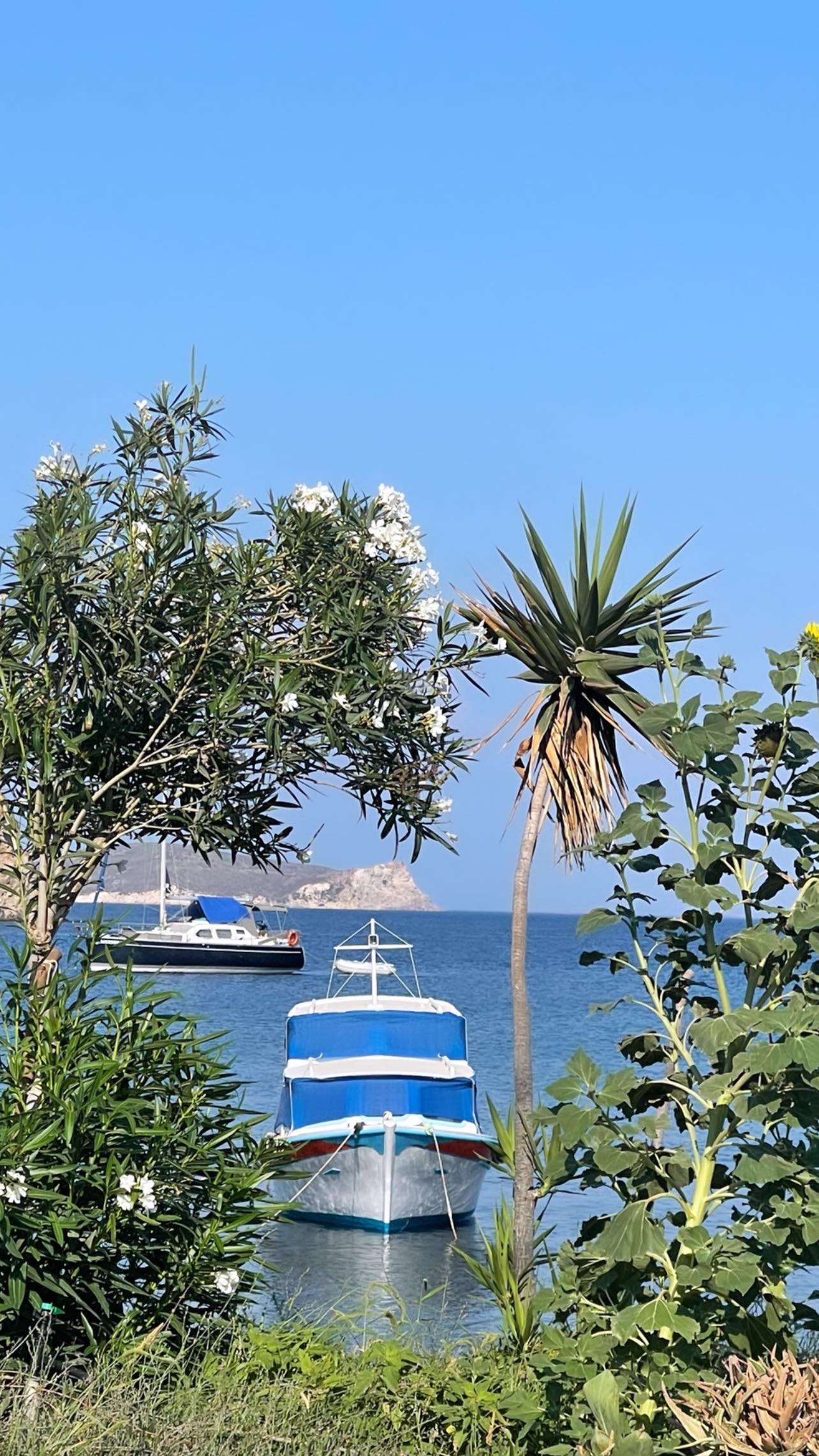 Τζένη Μπαλατσινού