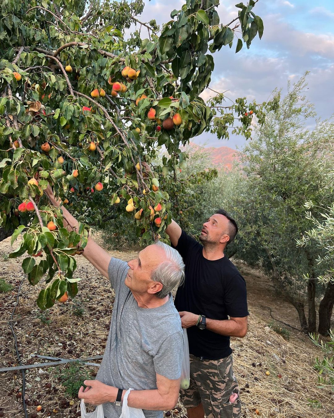 Λιανός