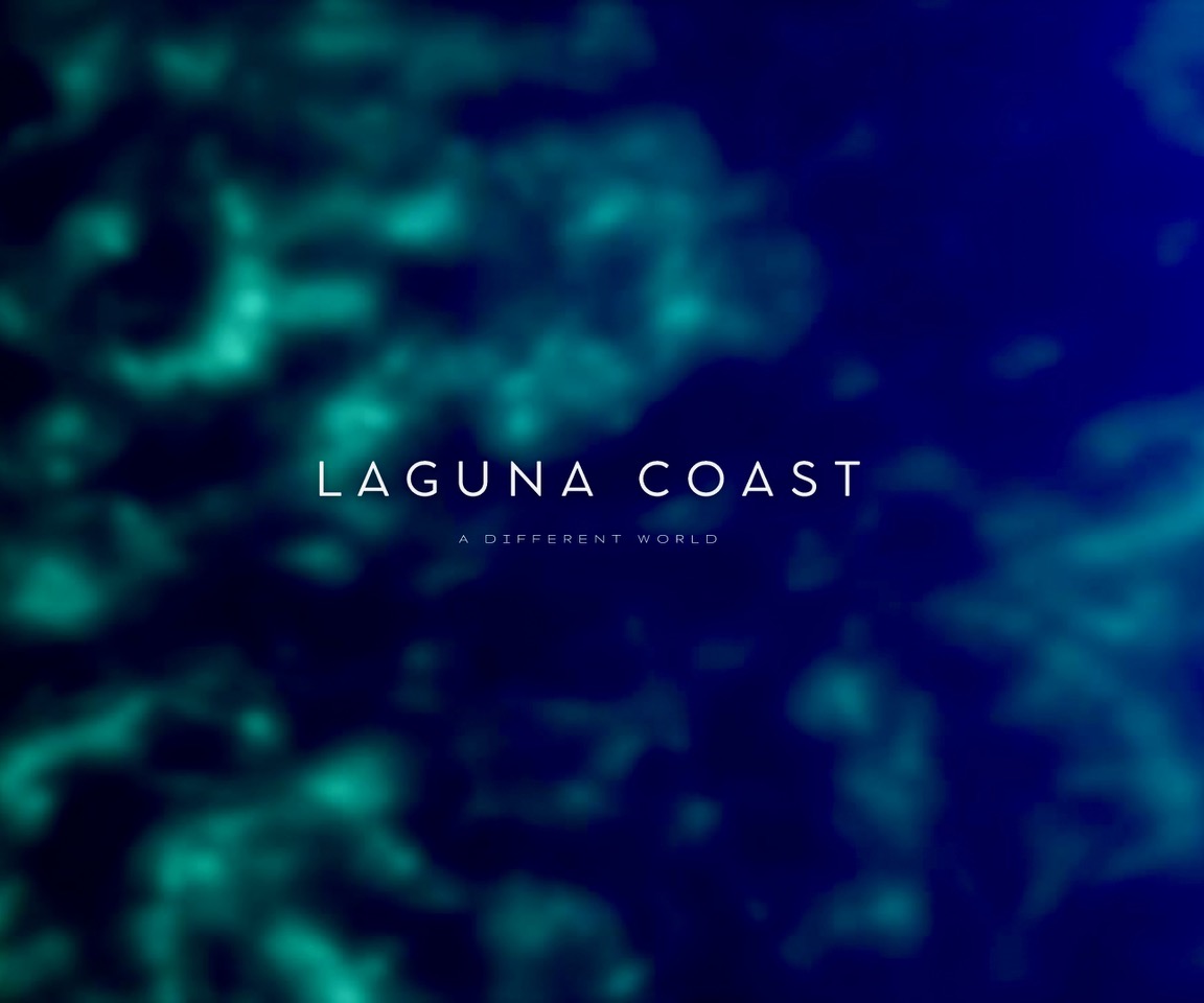 Laguna Coast Laguna Coast Foundation