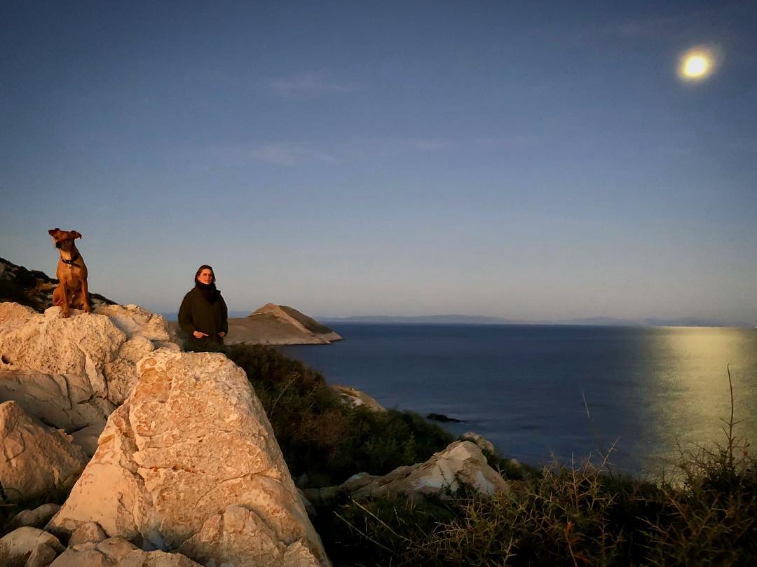 πρίγκιπας νικόλαος