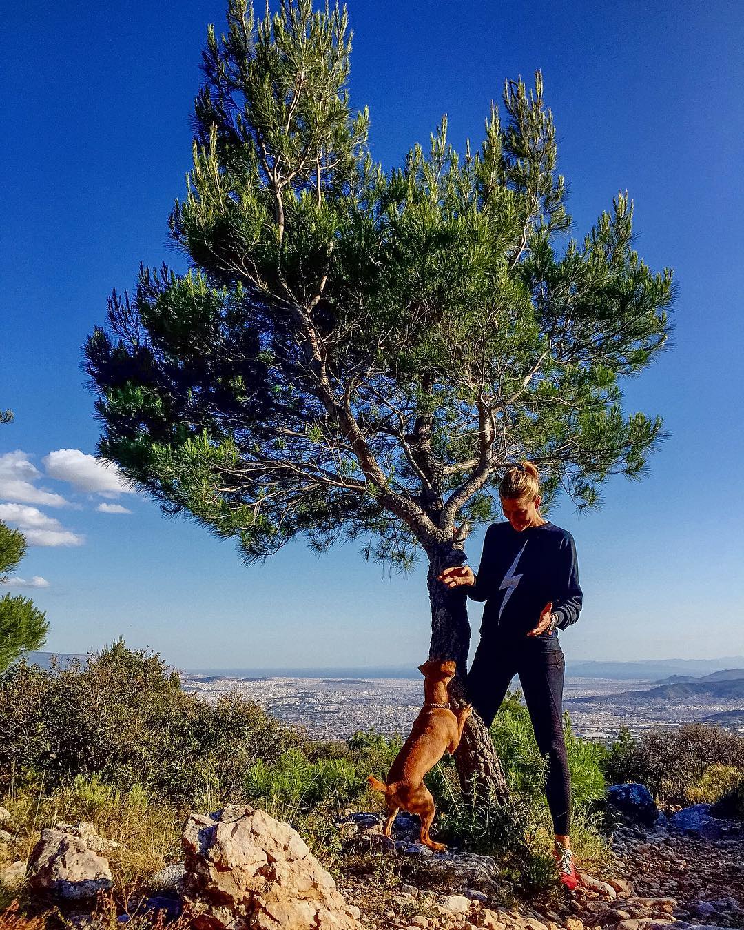 πρίγκιπας νικόλαος