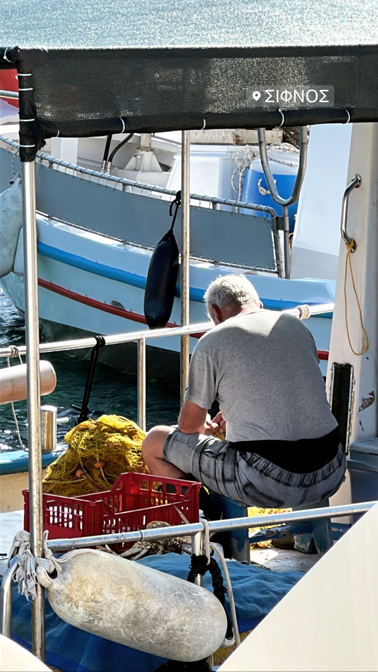 Φλορίντα Πετρουτσέλι