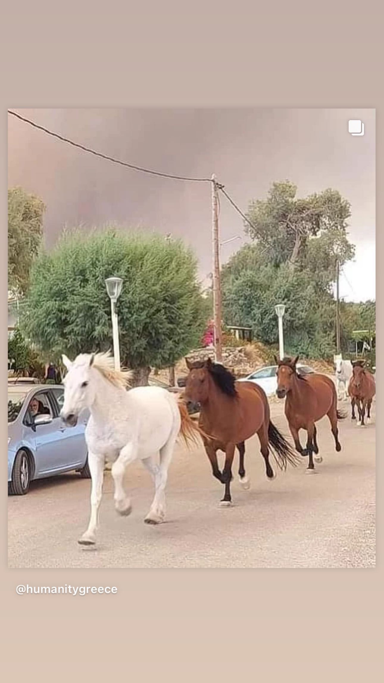 Σπυροπούλου