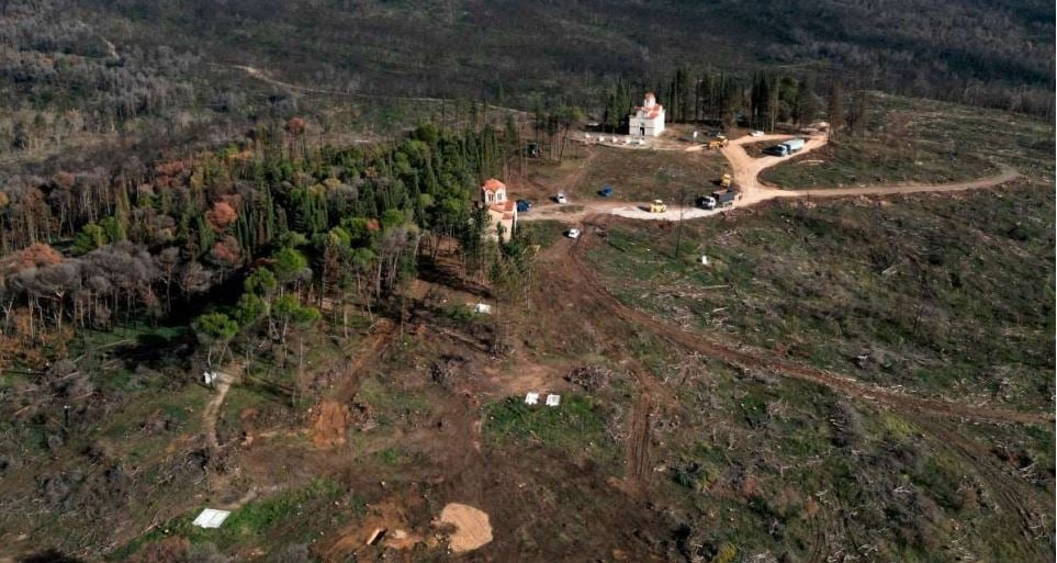 Τατόι: Το σχέδιο της αποκατάστασης του δάσους, των ανακτορικών κήπων και των βασιλικών τάφων