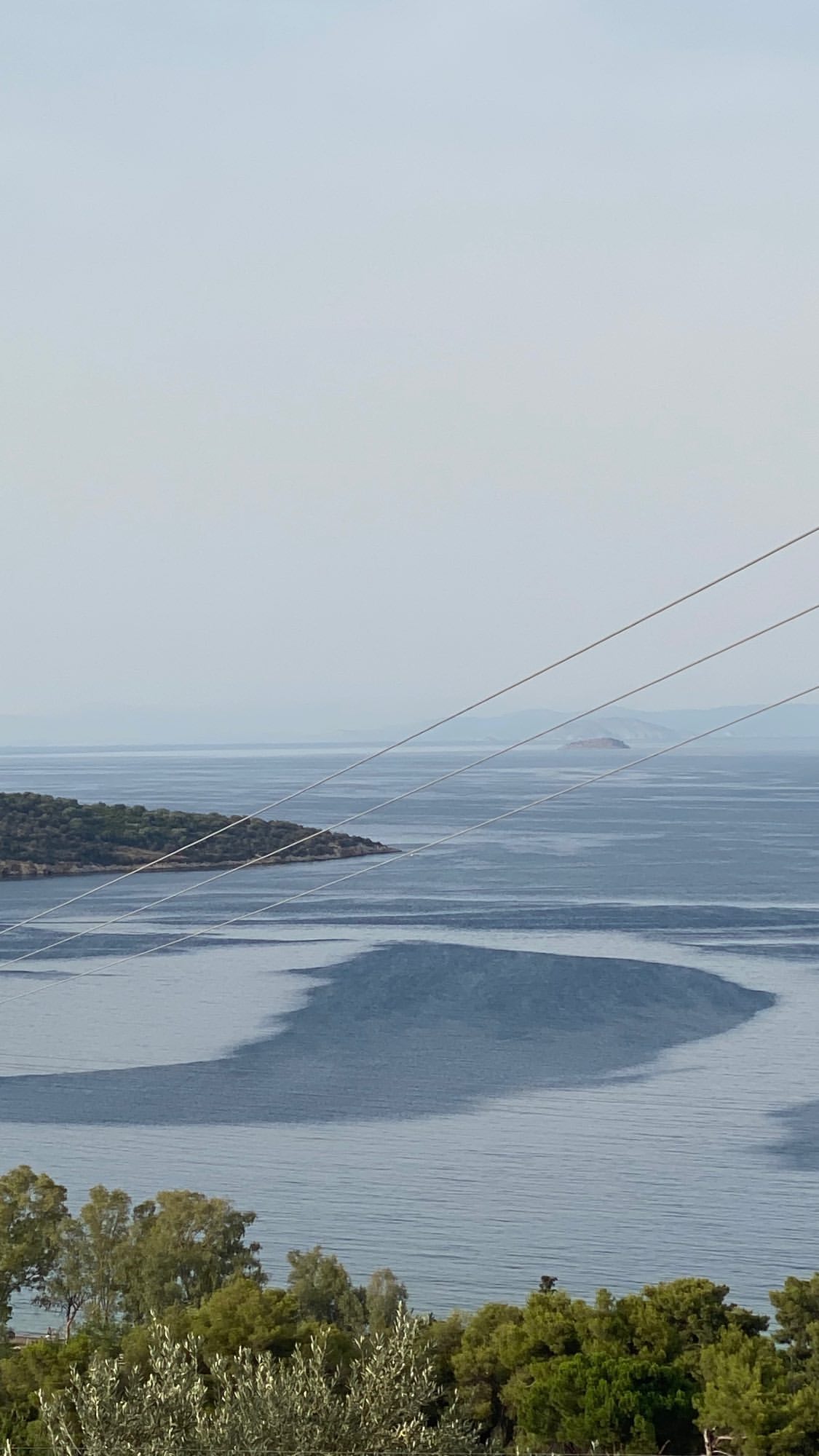 Μιχάλης Λεβεντογιάννης