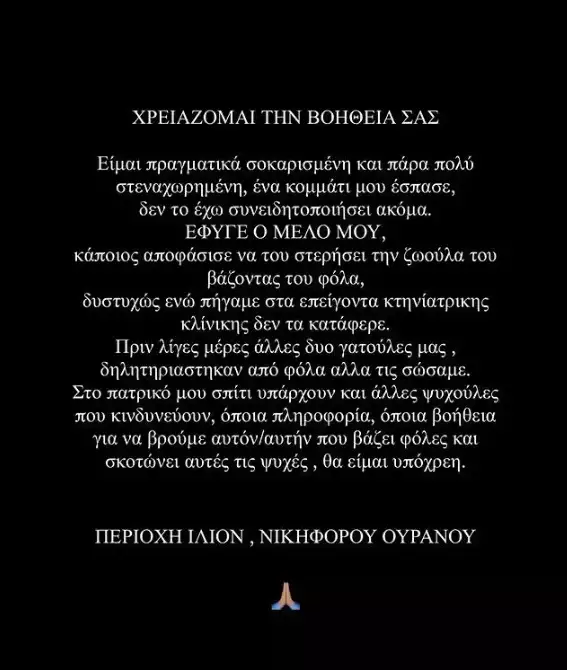 Μαριαλένα Ρουμελιώτη: Μέσα σε λίγο χρονικό διάστημα οι γάτες της έγιναν στόχος επίθεσης δυο φορές