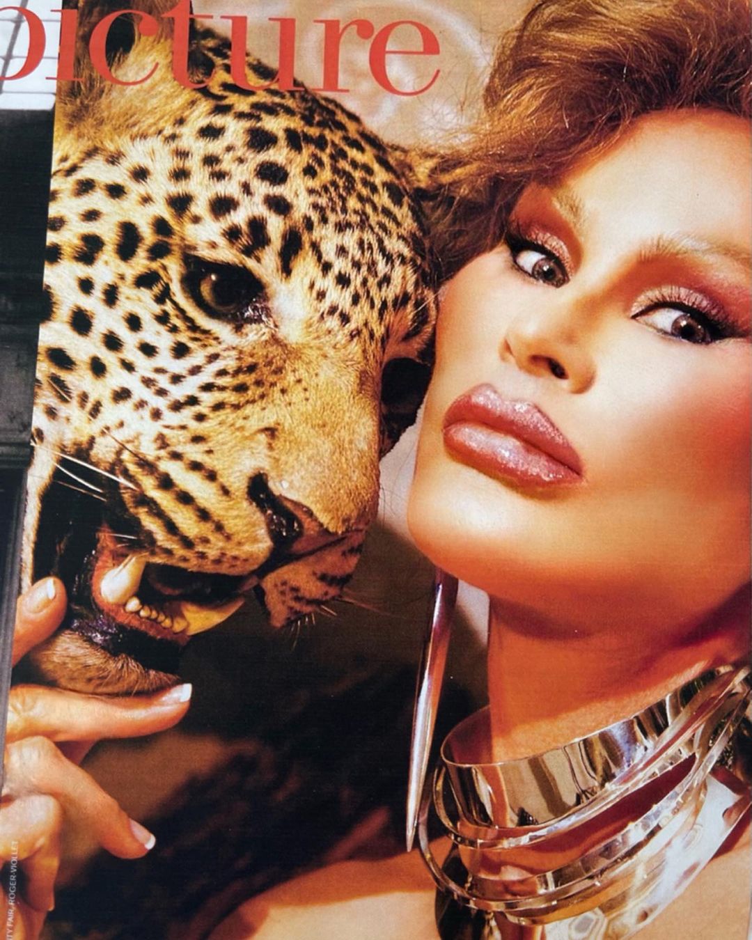 Jocelyn Wildenstein