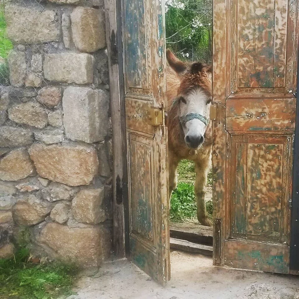 Μαρία Λεκάκη